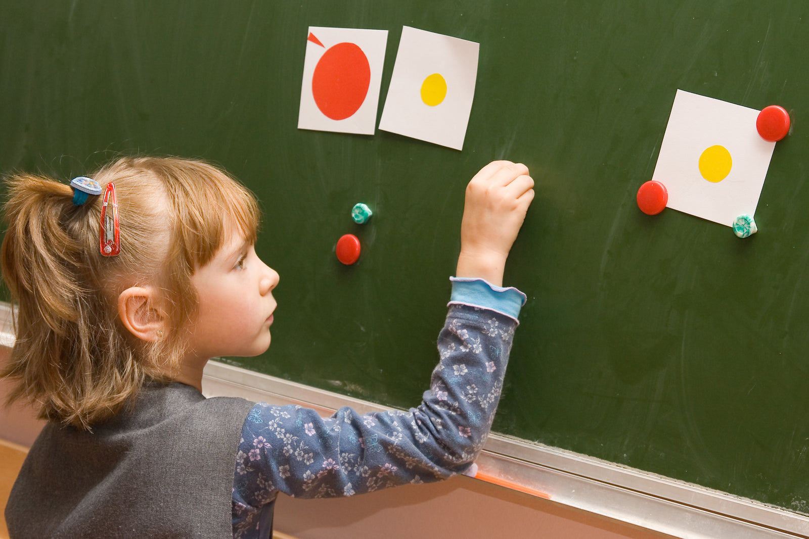 Supplemental Products and Magnets