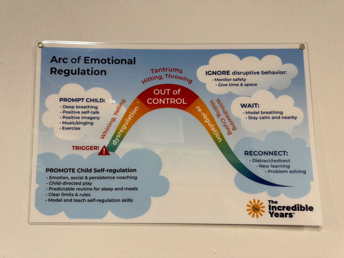 
              Poster - Arc of Emotional Regulation