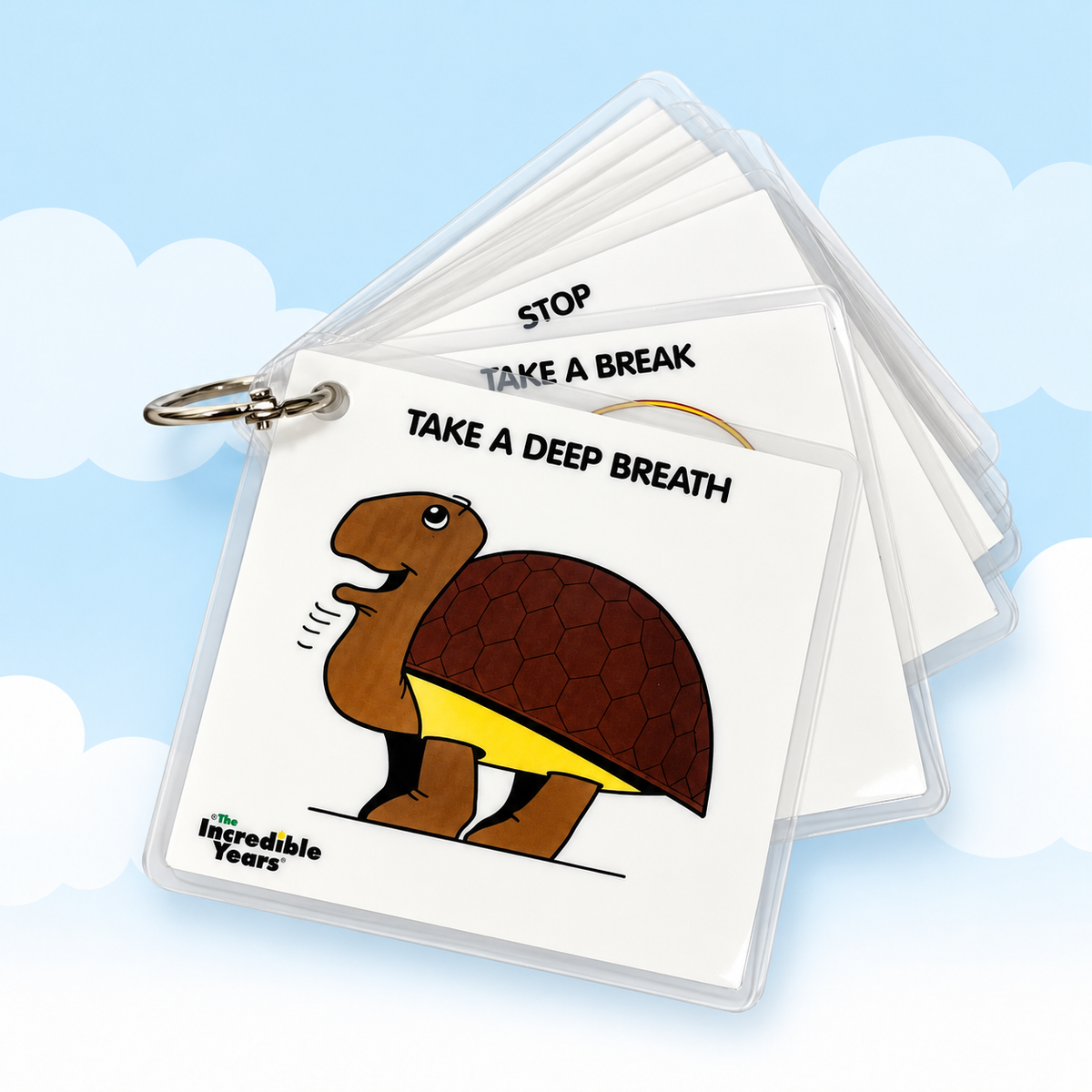 Key Ring: Self-Regulation