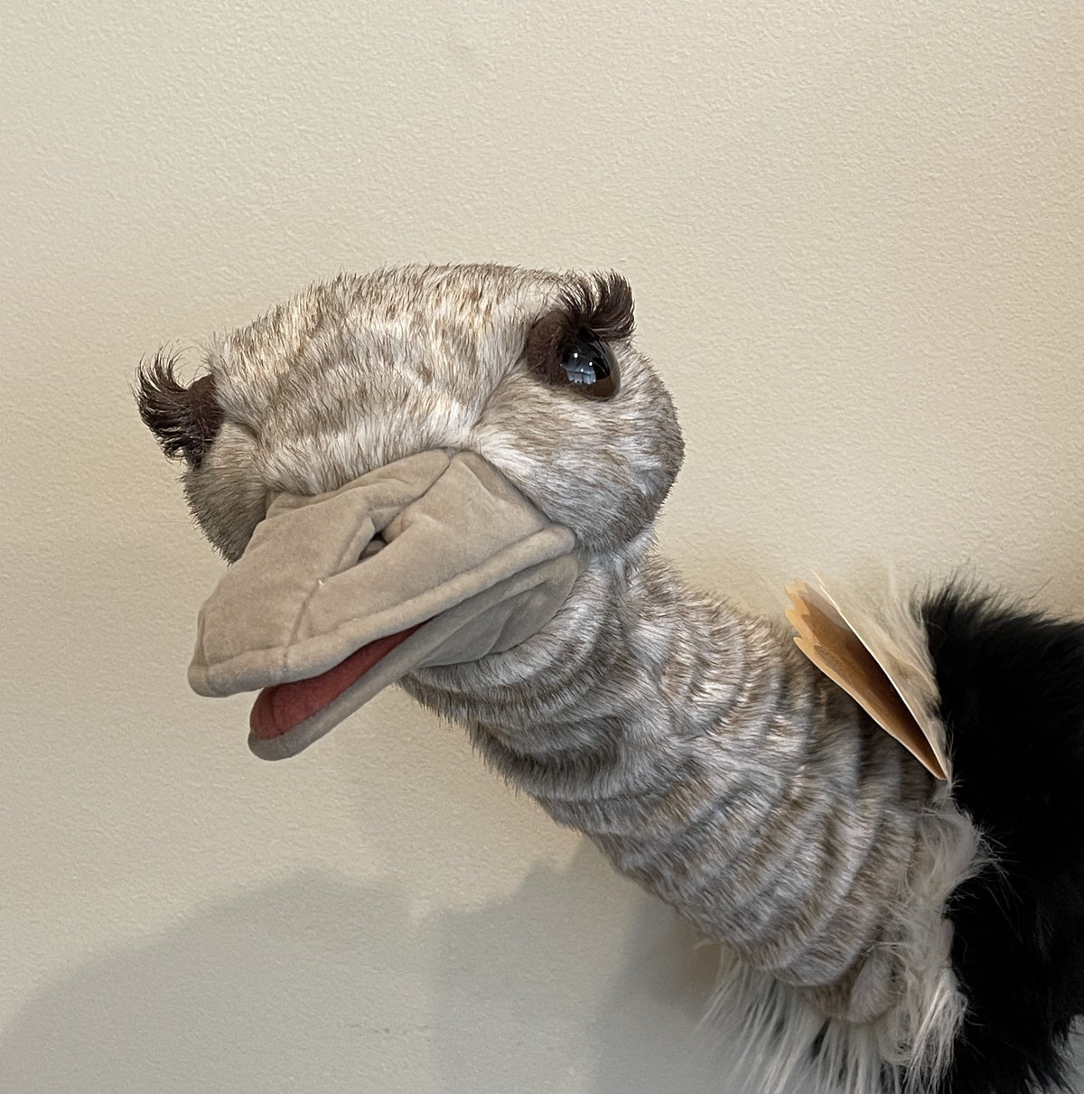 Orac Puppet Oscar Ostrich Puppet - The Incredible Years