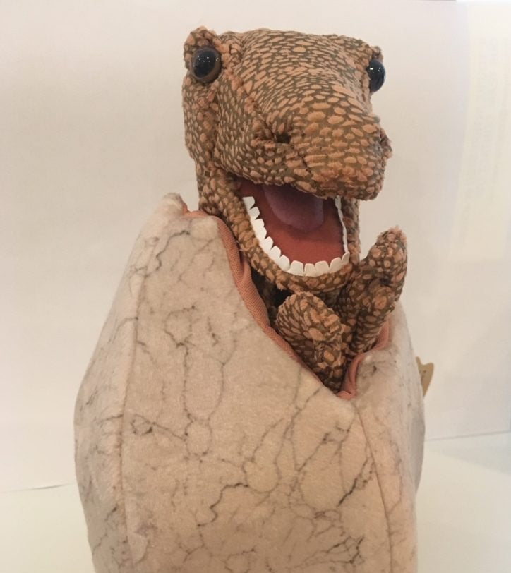 
              Dinosaur with Egg Puppet